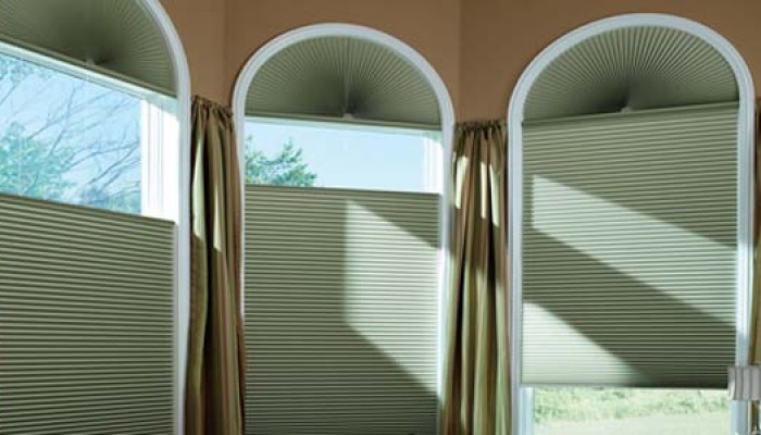 Duette® Honeycomb Blackout Shades
