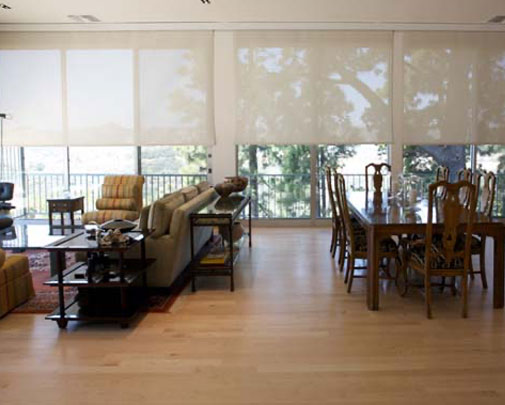 Eco Roller Shades